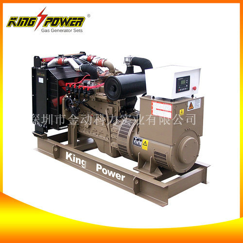 【頁巖氣發(fā)電機廠家】“能源”代表著實力！