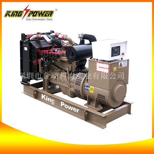 【頁巖氣發(fā)電機(jī)廠家】為我國增加新資源！